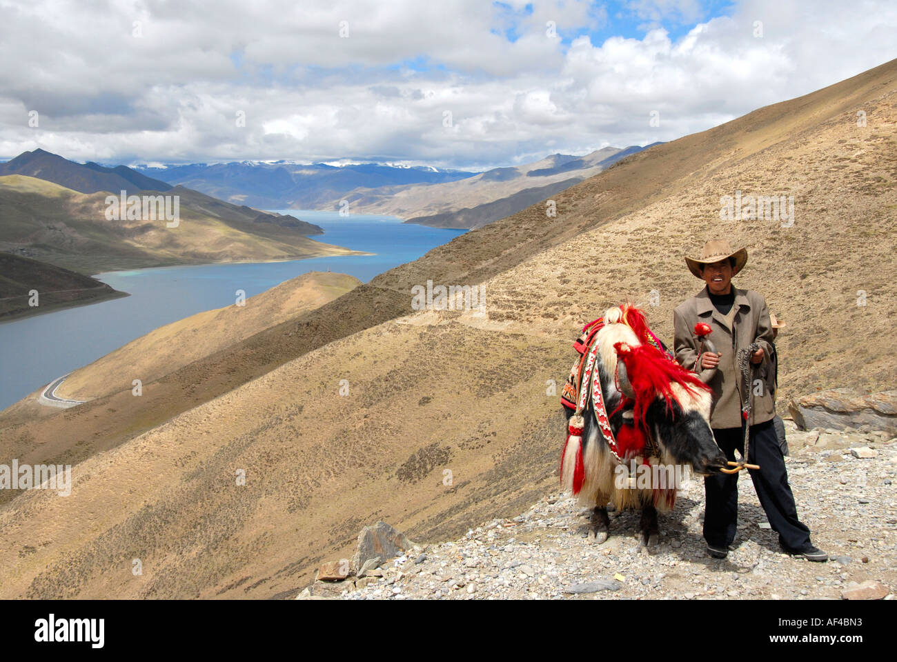 Décorées avec homme tibétain yak à Kamba La, avec vue sur le lac Yamdrok Tso Tibet Chine Banque D'Images