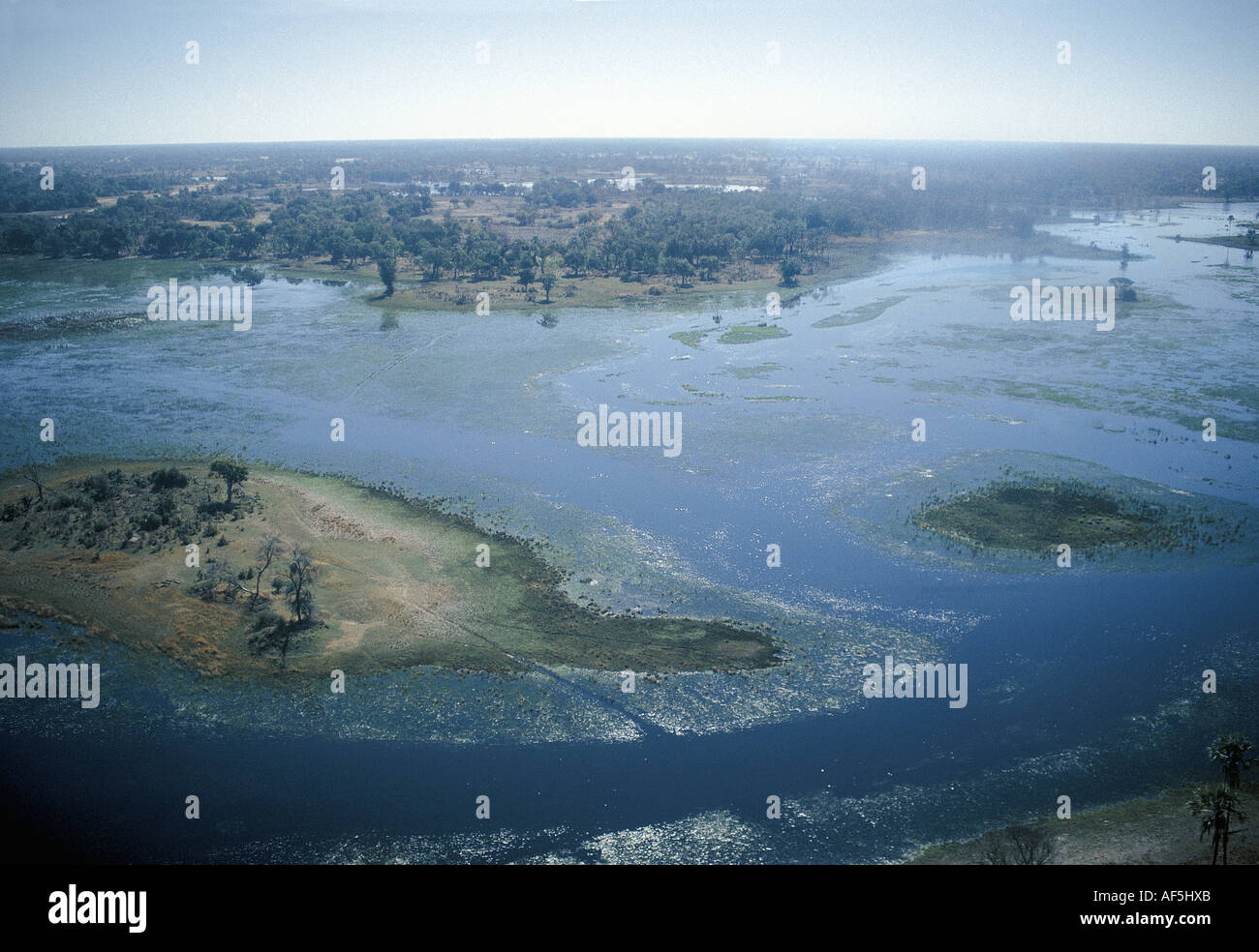 Vue aérienne du Delta de l'Okavango au Botswana l'Afrique du sud de l'eau monte avec remplissage des canaux peut être vu Banque D'Images