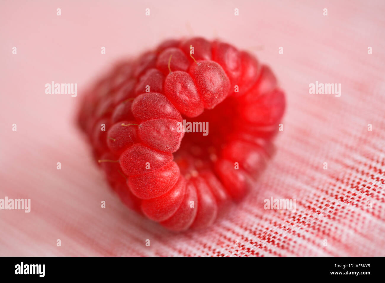 Red Raspberry Close up Banque D'Images