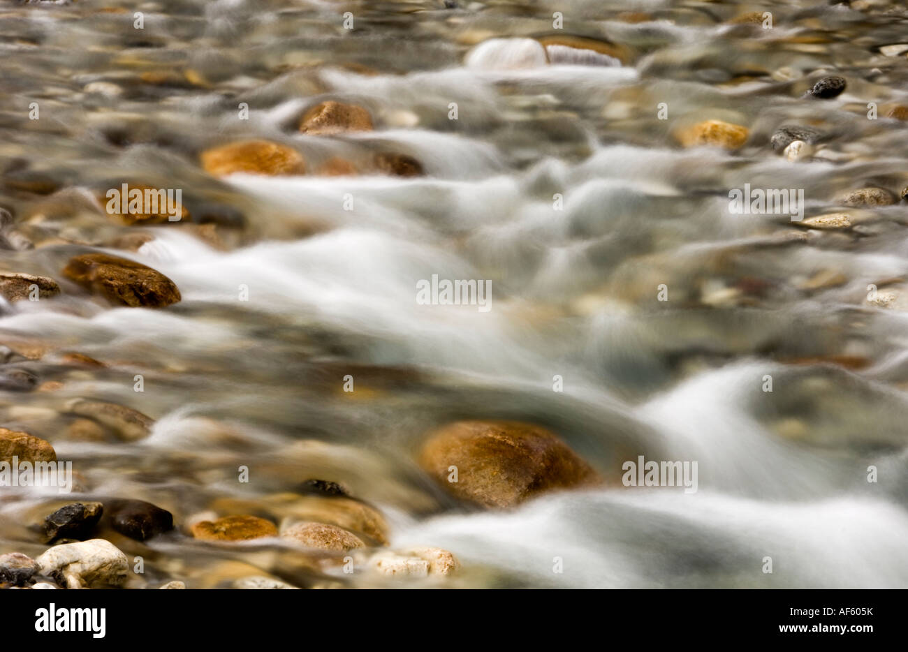 Des rochers et de se précipiter dans l'eau du ruisseau Mosquito, Banff National Park, Alberta, Canada Banque D'Images