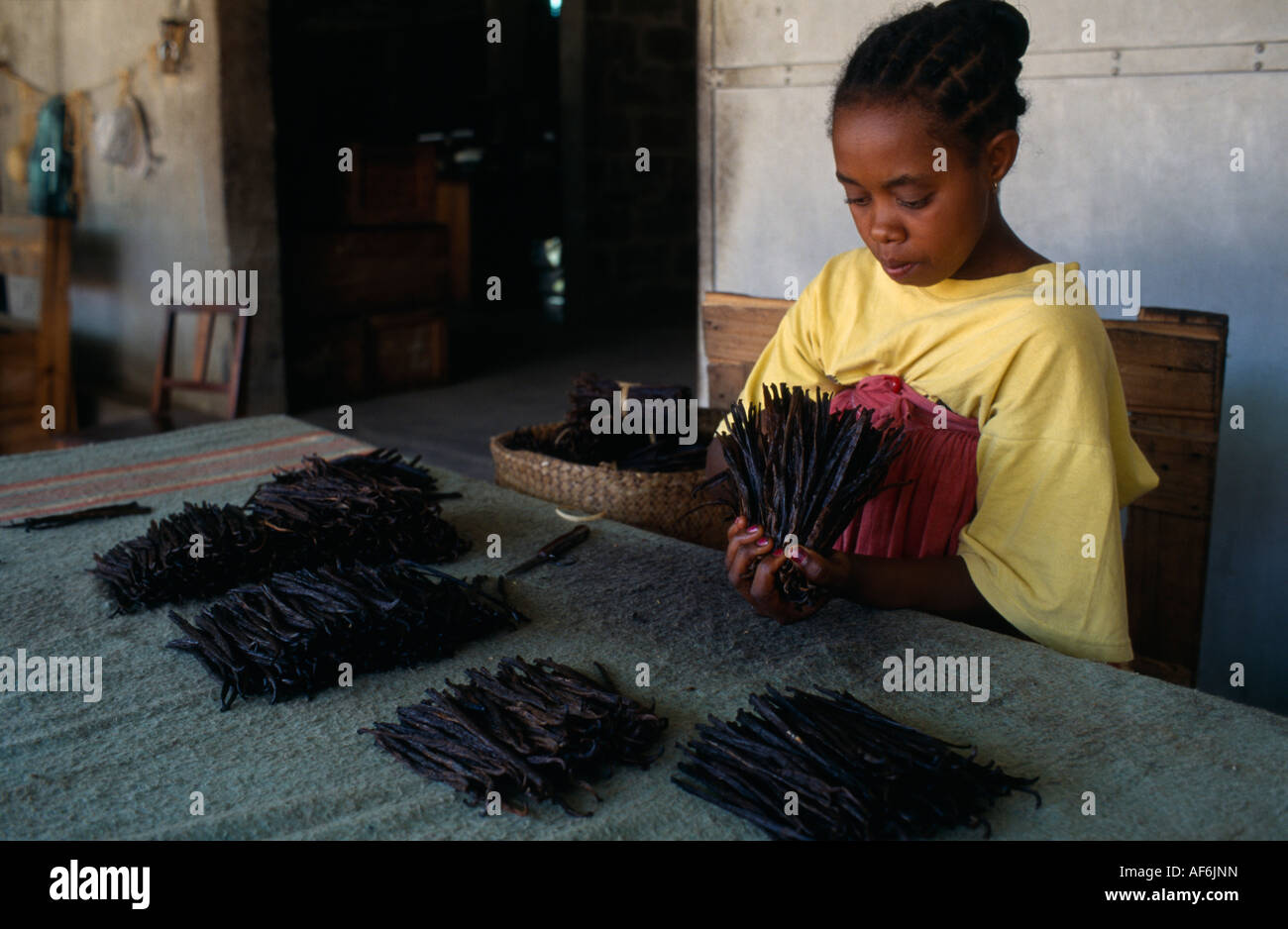 Antalaha MADAGASCAR gousses de vanille de classement femme assis à une table Banque D'Images