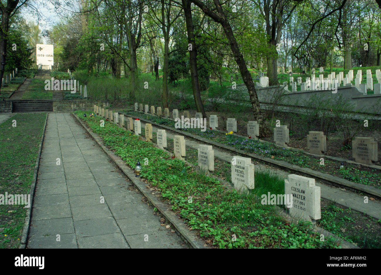 Tombes des soldats au cimetière juif de Poznan construit sur une ancienne forteresse prussienne à Poznan, Pologne Banque D'Images