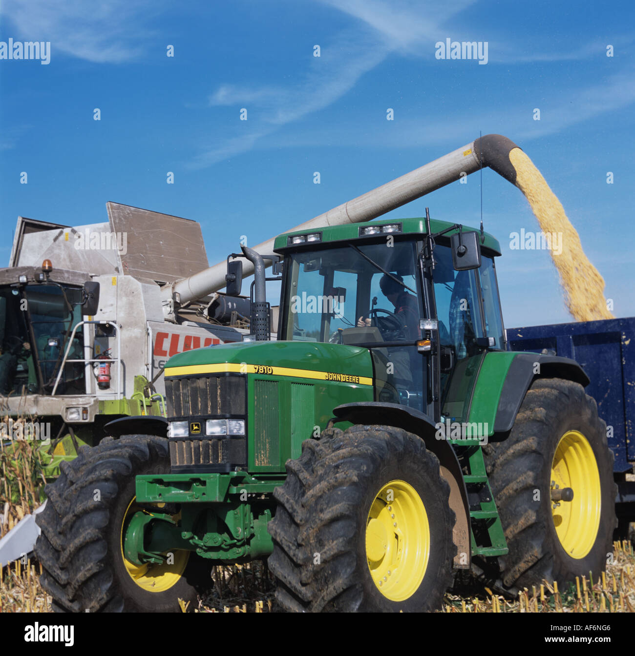 Rendmt Lexion Claas s'acquitter de grains de maïs d'une remorque Banque D'Images