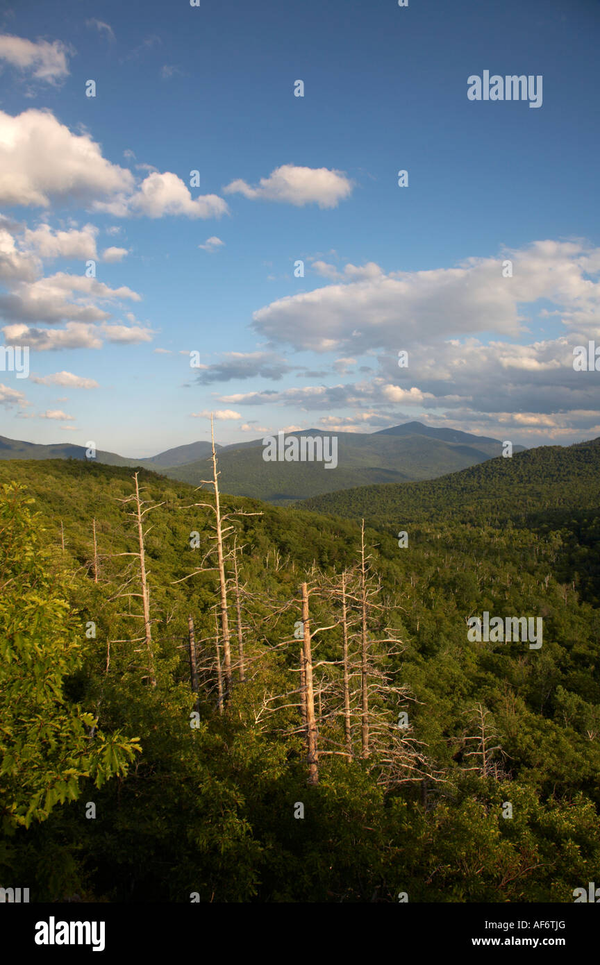 Voir d'Owls Head Mountain près de Keene dans la région des hauts sommets dans les Adirondacks de l'État de New York Banque D'Images