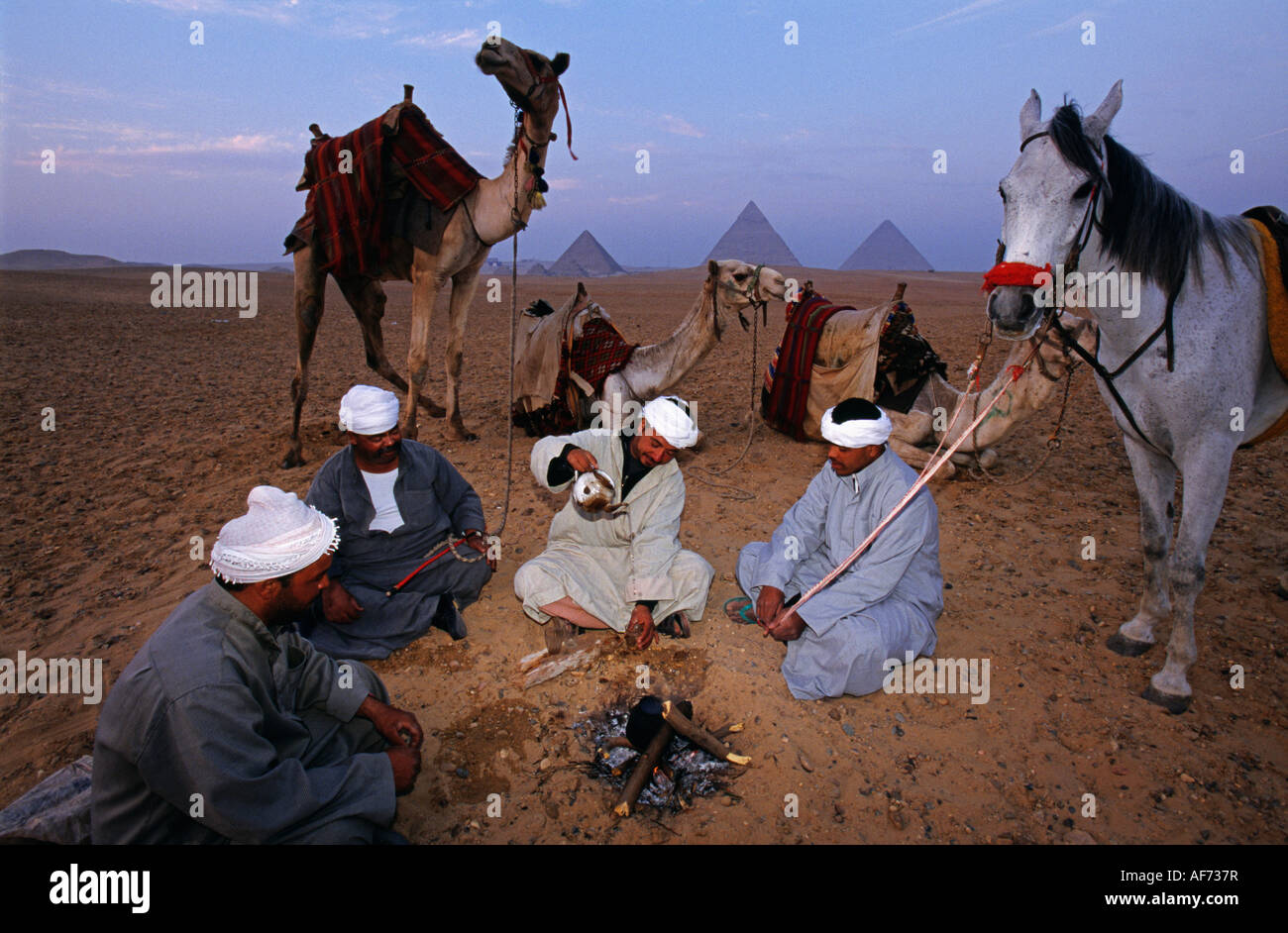 L'Egypte Gizeh chameliers autour de feu le thé avec pyramds de Gizeh en arrière-plan Banque D'Images