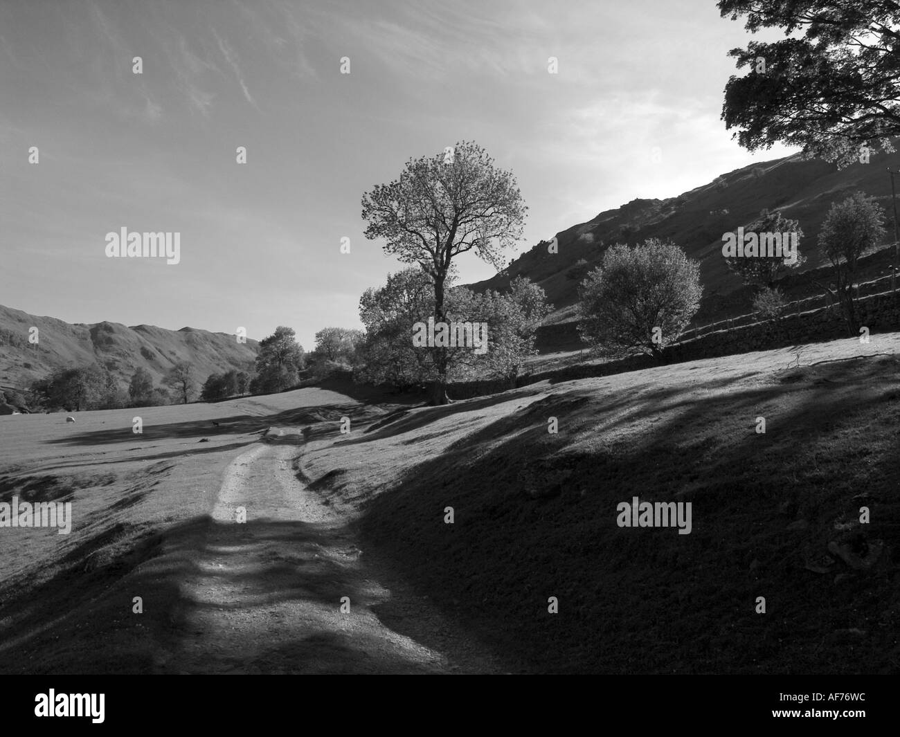 Deepdale soir en monochrome dans le Lake District Banque D'Images