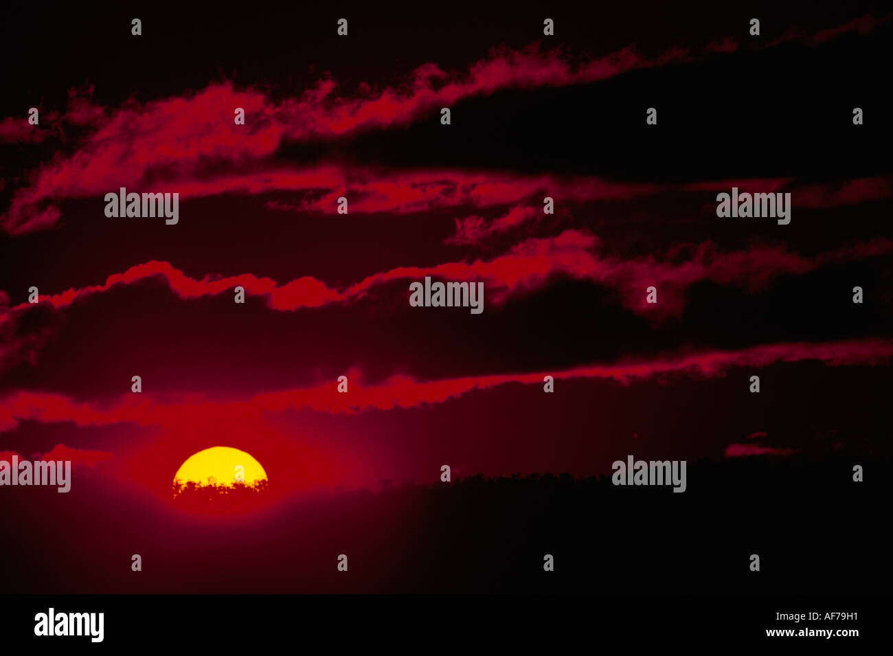 L'Australie. Nouvelle Galles du Sud. Blue Mountains. Fiery red coucher de soleil sur la crête de la montagne. Banque D'Images