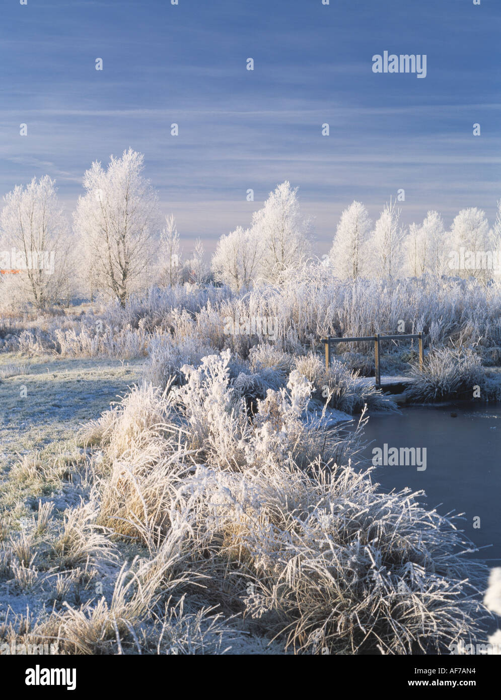 Royaume-Uni. Angleterre. Suffolk. Paysage d'hiver avec lac. Banque D'Images