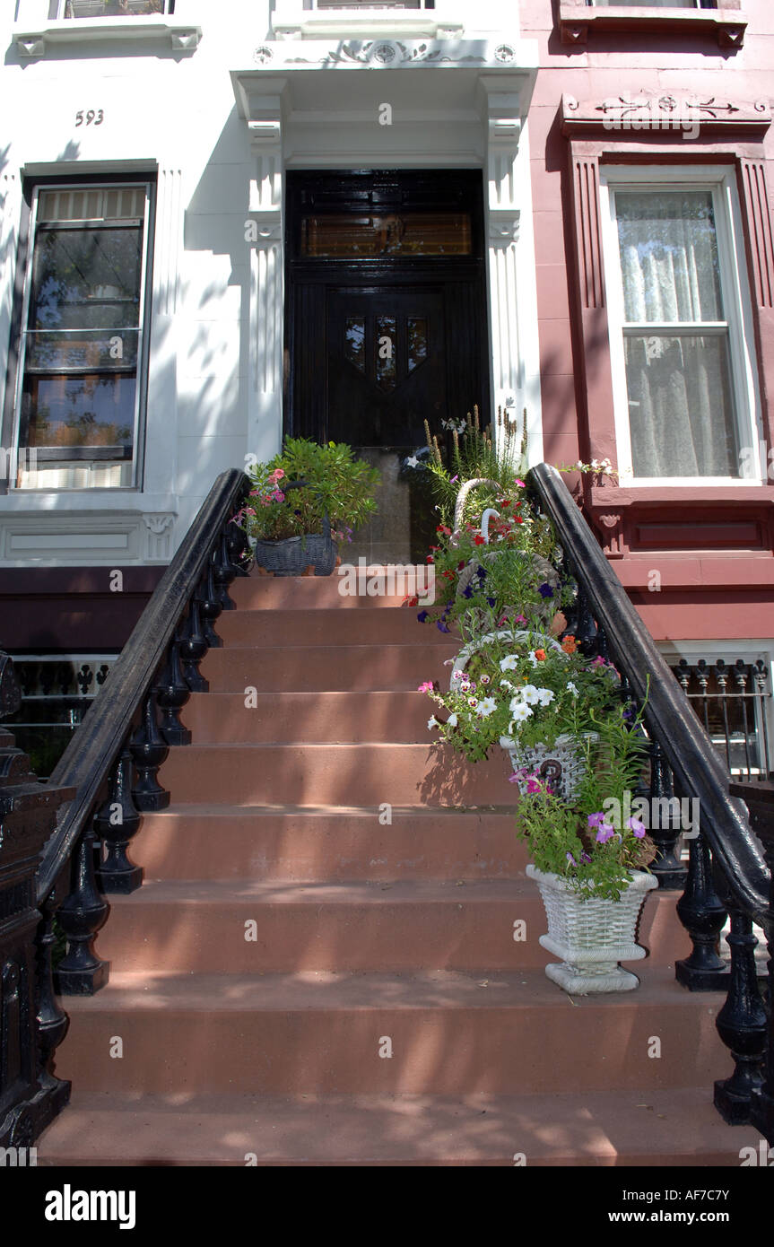 Grès dans le quartier de Bedford Stuyvesant à Brooklyn à New York Banque D'Images