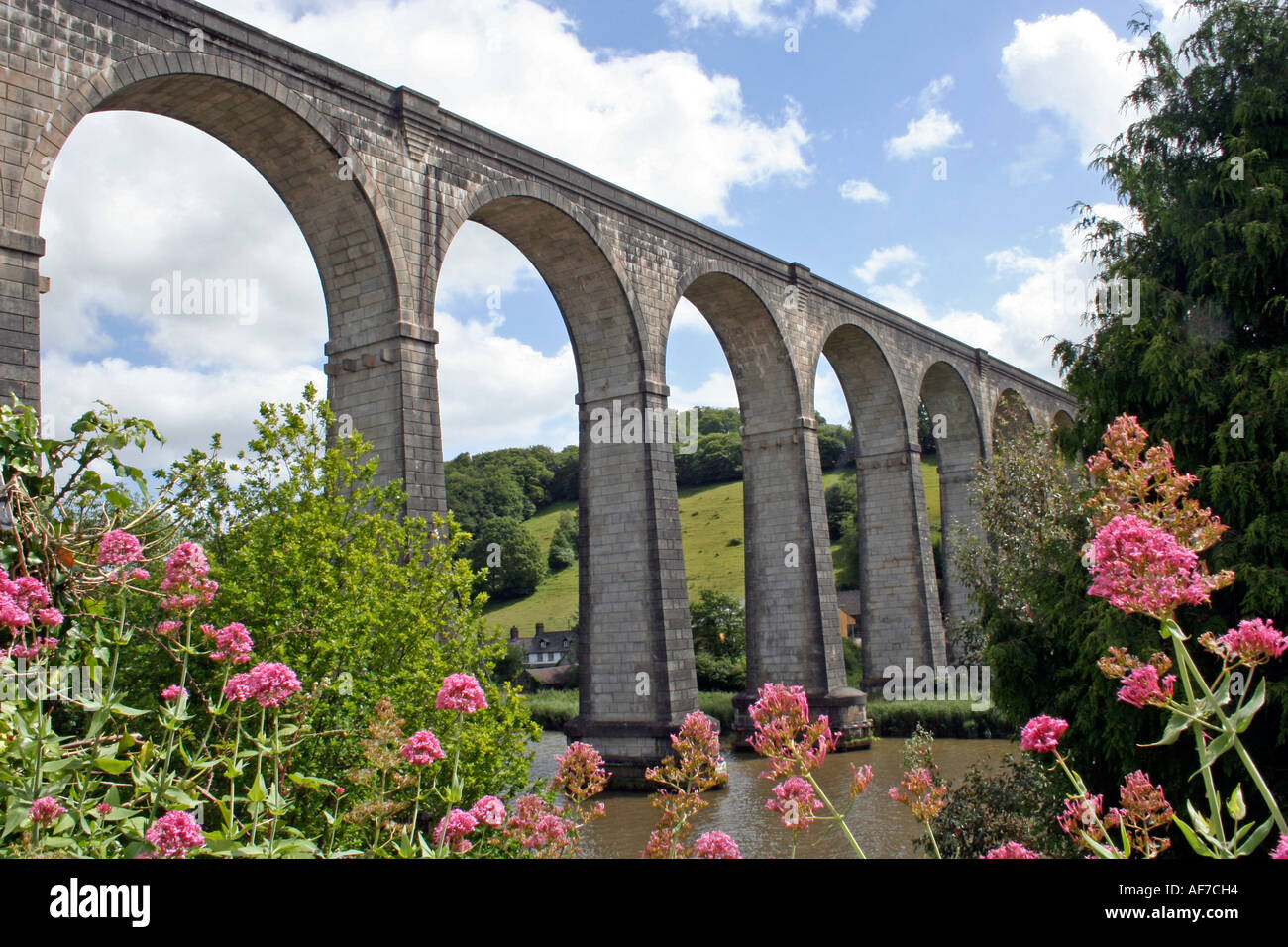 Calstock viaduc de l'autre côté de la Rivière Tamar, Cornwall, UK, Europe Banque D'Images