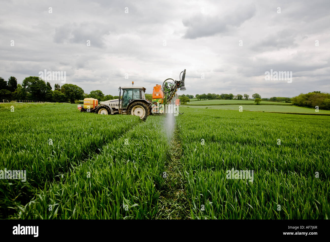 Une Lambourghini pulvérisation tracteur champs au sud de Godstone Surrey Banque D'Images