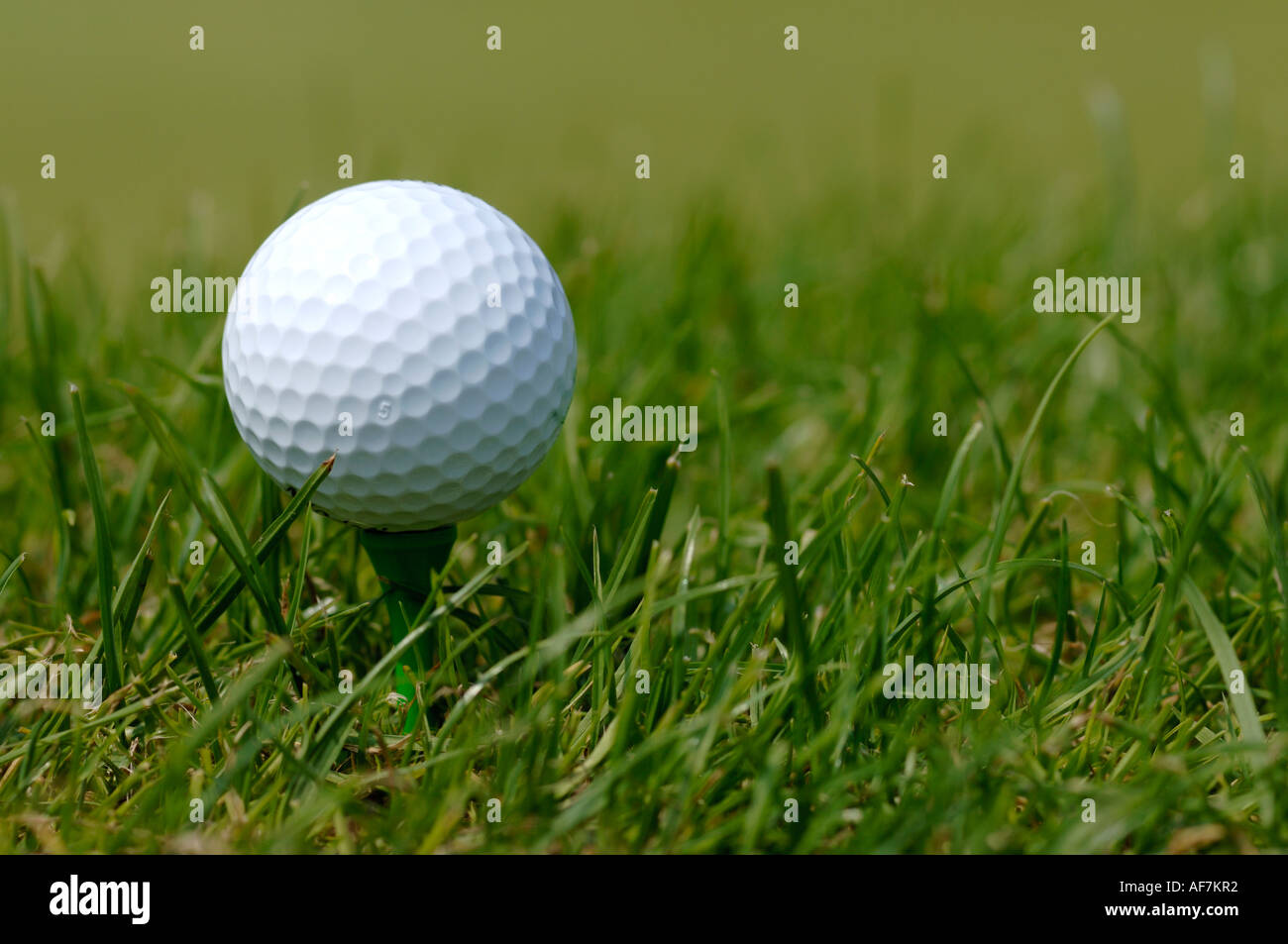 Balle de golf sur un raccord en t Banque D'Images