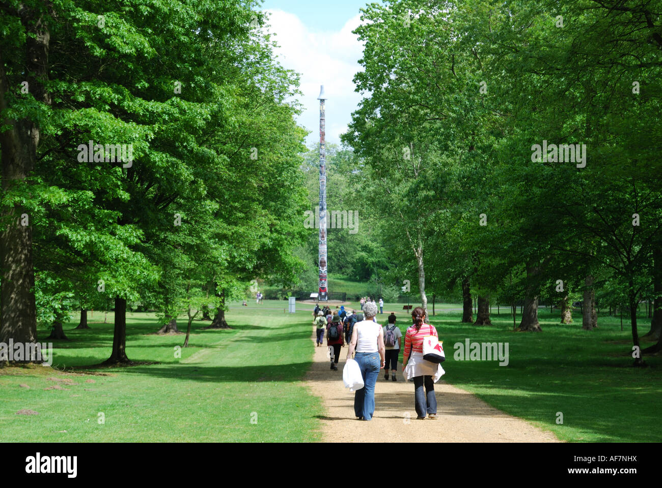 Groupe sur le chemin, la Vallée des jardins, le paysage, Royal Windsor Great Park, Virginia Water, Surrey, Angleterre, Royaume-Uni Banque D'Images