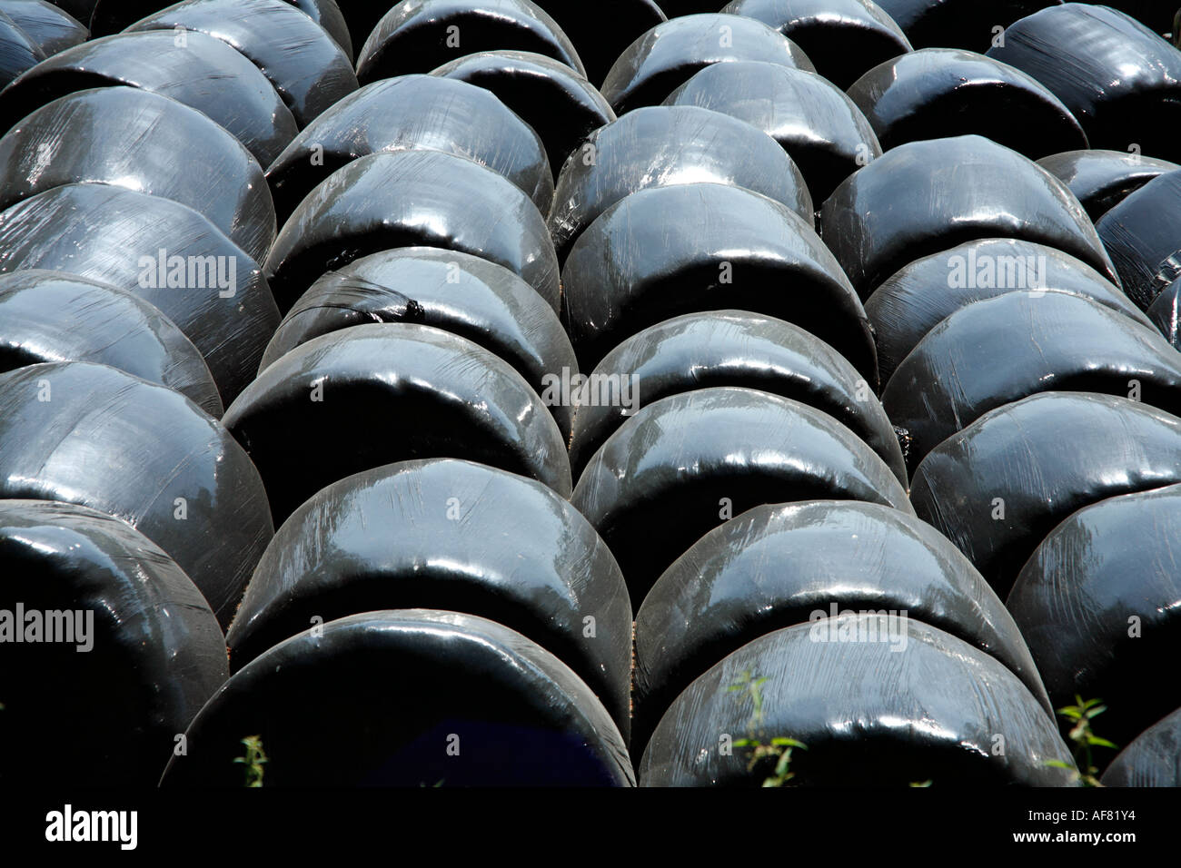 Ballots de foin dans de grands sacs en plastique noir Banque D'Images