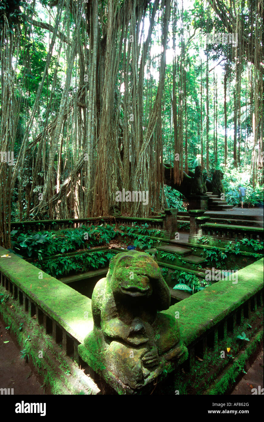 Statue d'un singe dans la forêt des singes, hanuman sainte, Ubud, Bali, Indonésie Banque D'Images