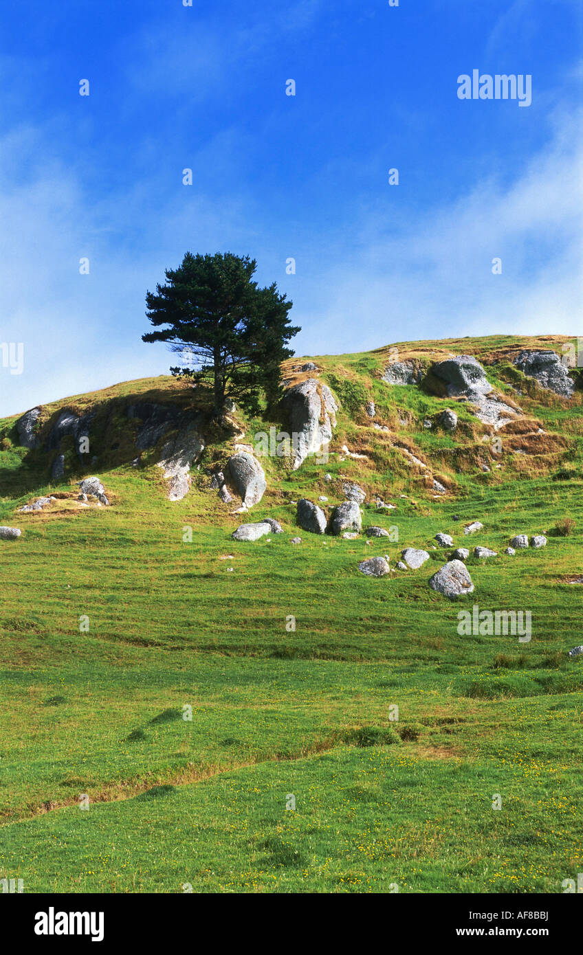 Paysage rocheux avec de Coromandel, île du Nord, Nouvelle-Zélande Banque D'Images