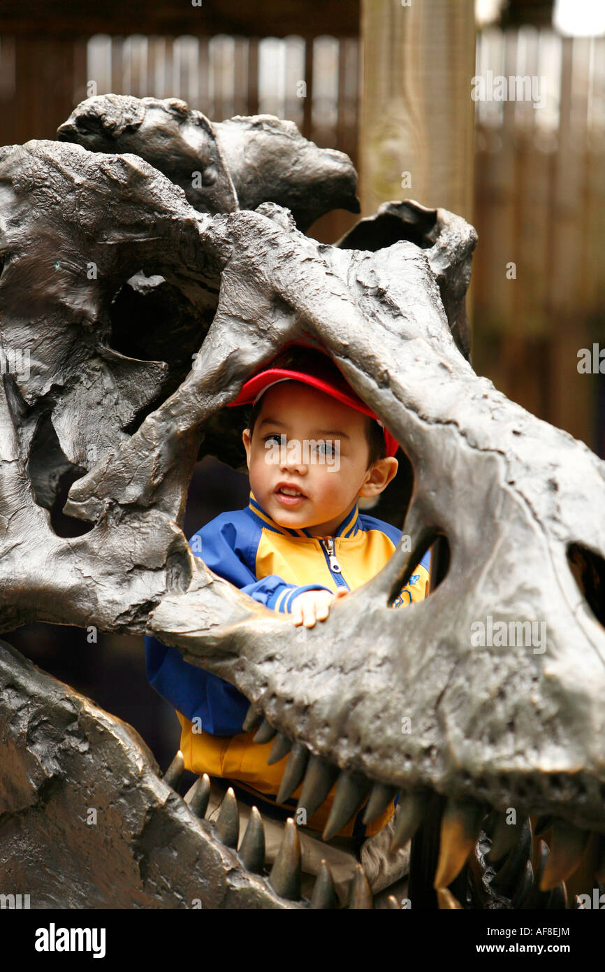 Un enfant à travers une sculptur d'un dinosaure Zoo de Washington, Washington DC, United States, USA Banque D'Images