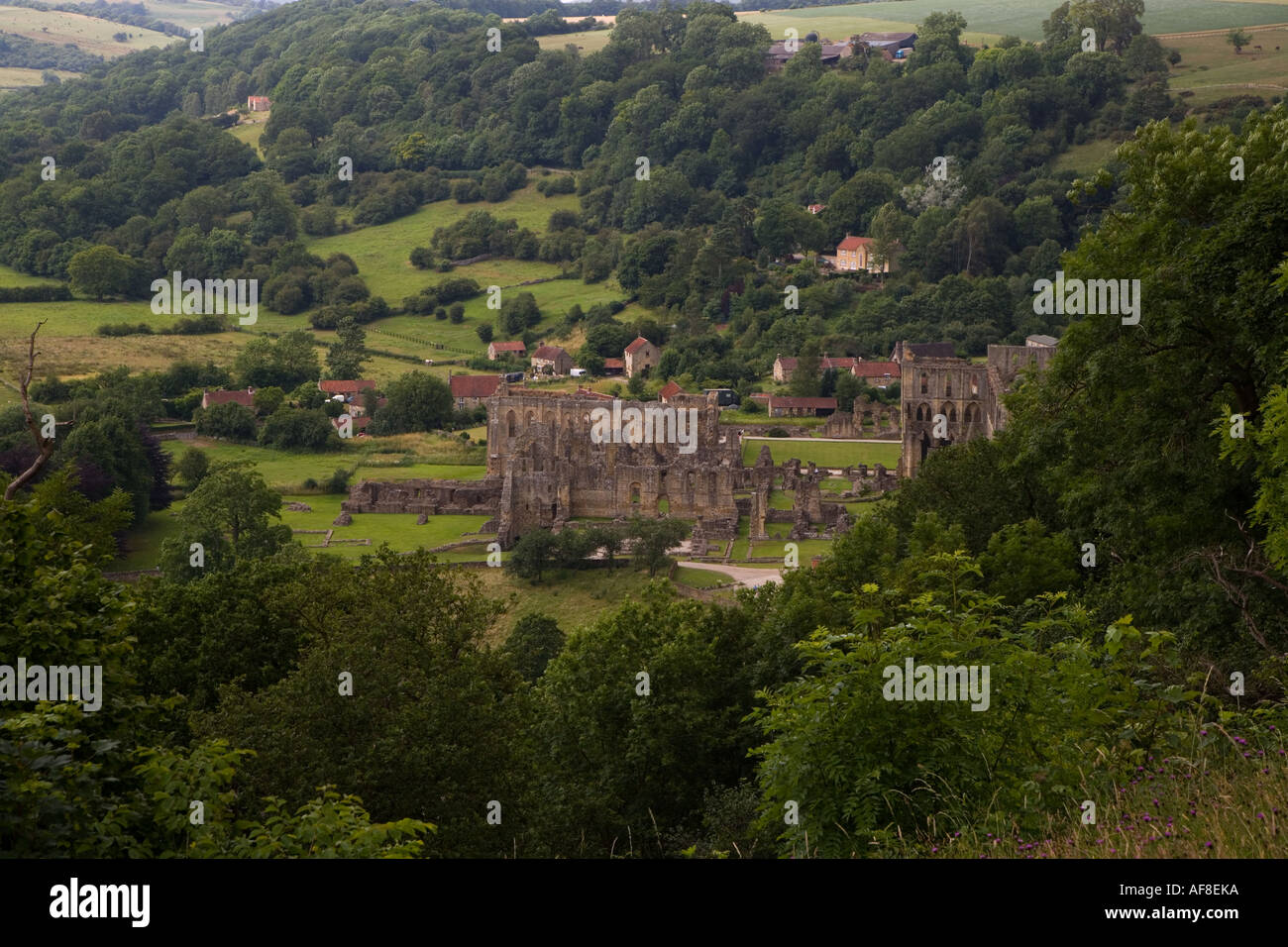 L'abbaye de Rievaulx N Yorkshire UK Juillet Banque D'Images