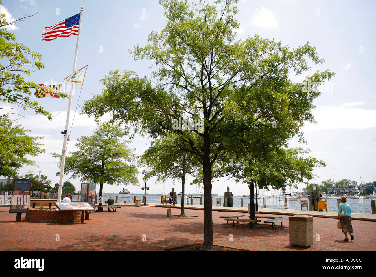 La baie de Chesapeake, Annapolis, Maryland, United States Banque D'Images