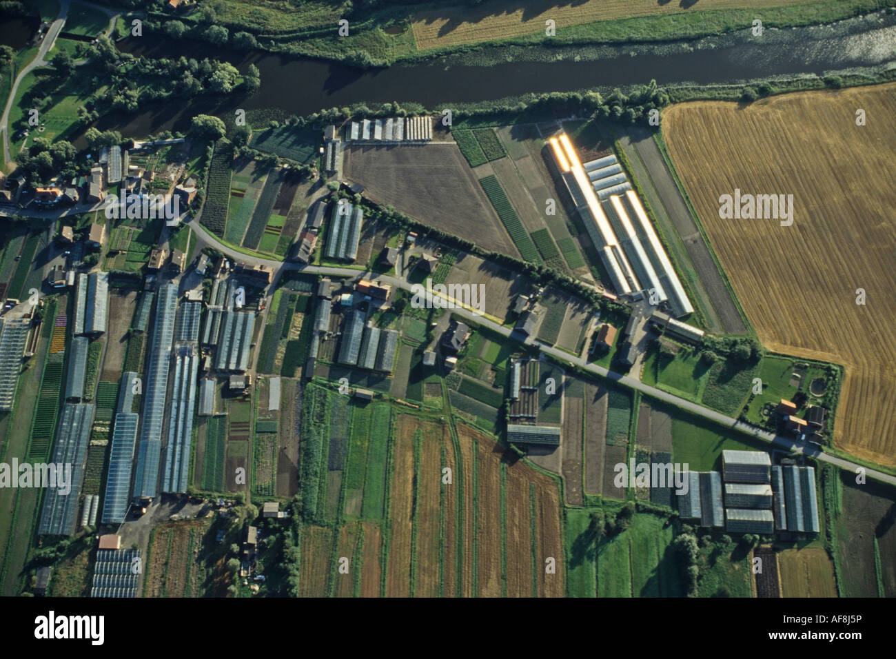 Photo aérienne, des jardins maraîchers, légumes, Vierlande, Hambourg, Allemagne du nord Banque D'Images
