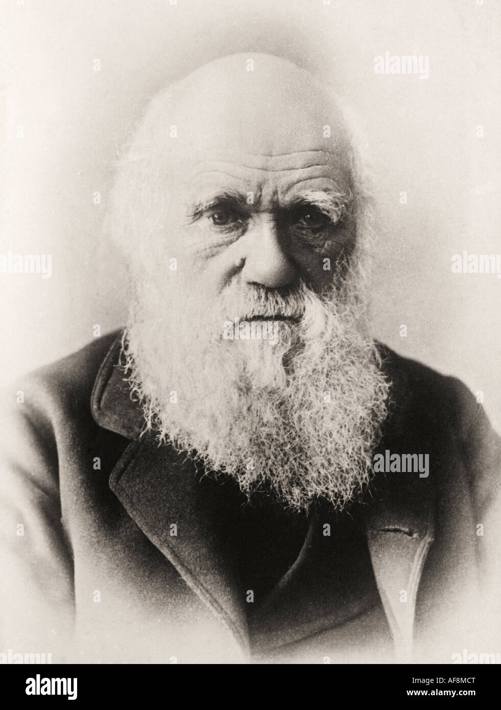 Charles Robert Darwin, 1809 – 1882. Naturaliste, géologue et biologiste anglais. Vu ici dans la vieillesse. Banque D'Images