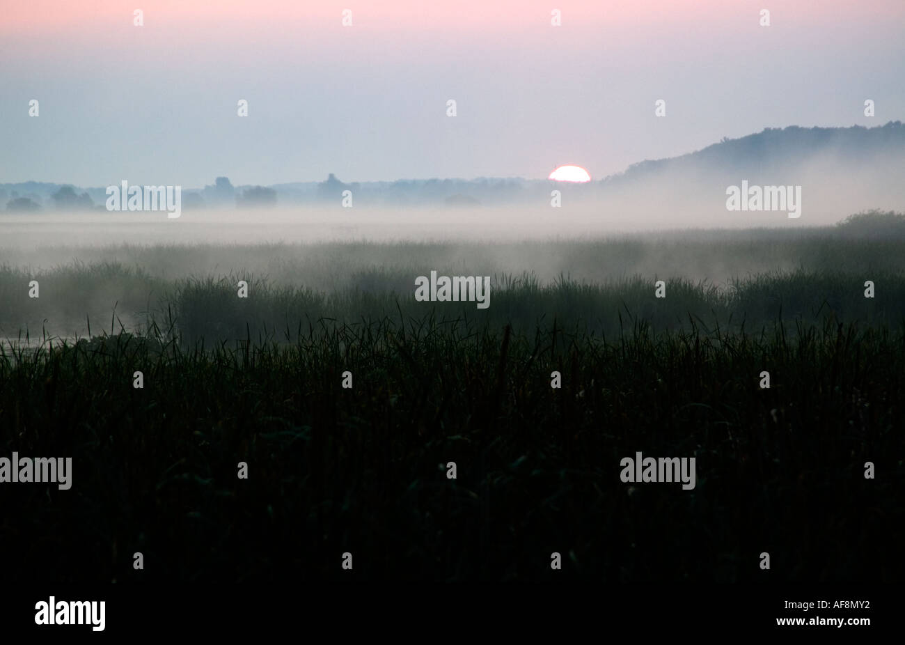 Le lever du soleil sur le delta du Fleuve Blanc sur un endroit calme matin de juillet Banque D'Images