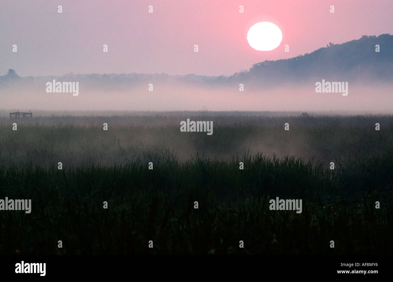 Le lever du soleil sur le delta du Fleuve Blanc sur un matin d'été Banque D'Images