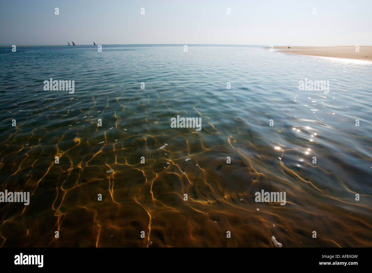 Les eaux côtières claires avec trois dhows dans la distance Banque D'Images