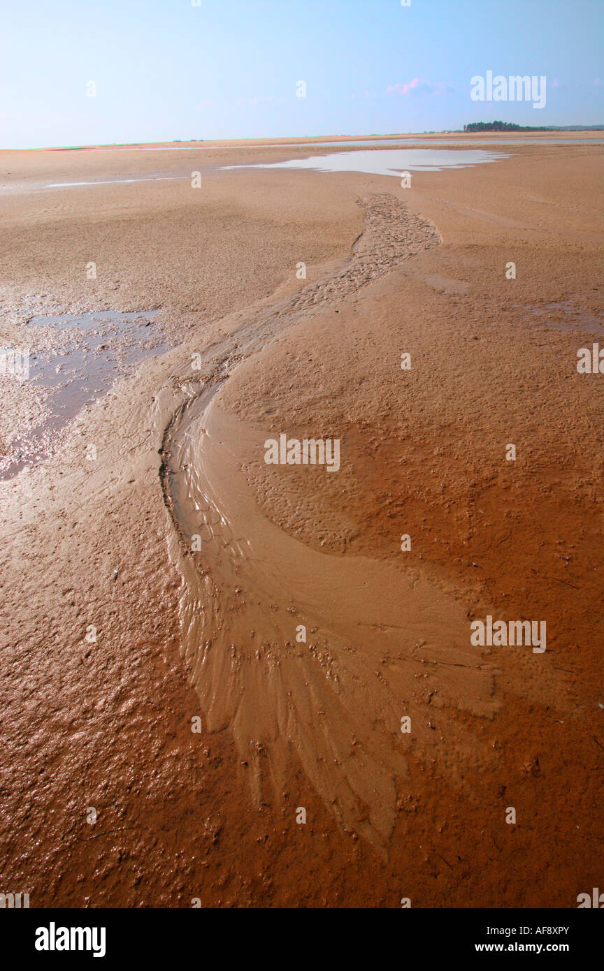 Gauche des modèles sur une plage par la marée descendante montrant comment l'érosion travaille sur une petite échelle Banque D'Images