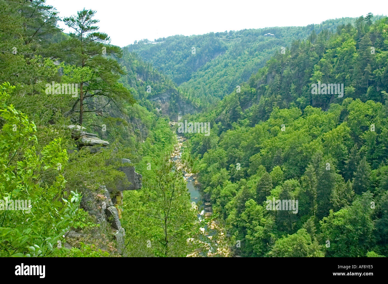 Près des Gorges de Tallulah Tallulah Falls GA Banque D'Images