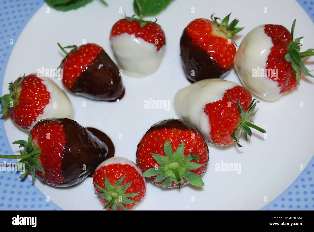 Désert par Gormet, de fraises enrobées de chocolat avec de la crème Banque D'Images
