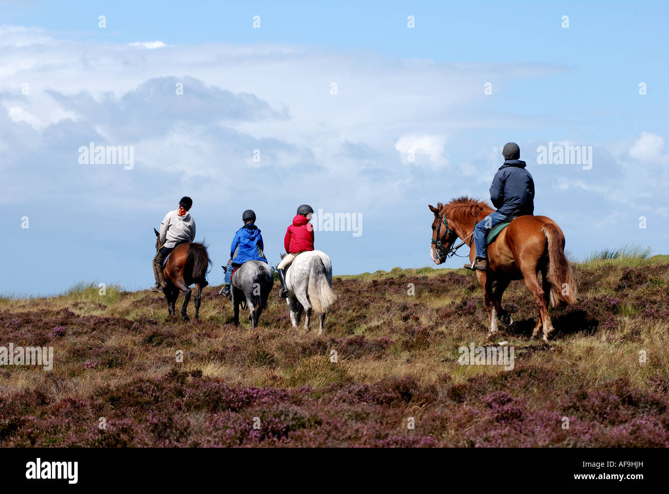 Les randonneurs de poney sur Brendon Common, Exmoor, Devon, England, UK Banque D'Images