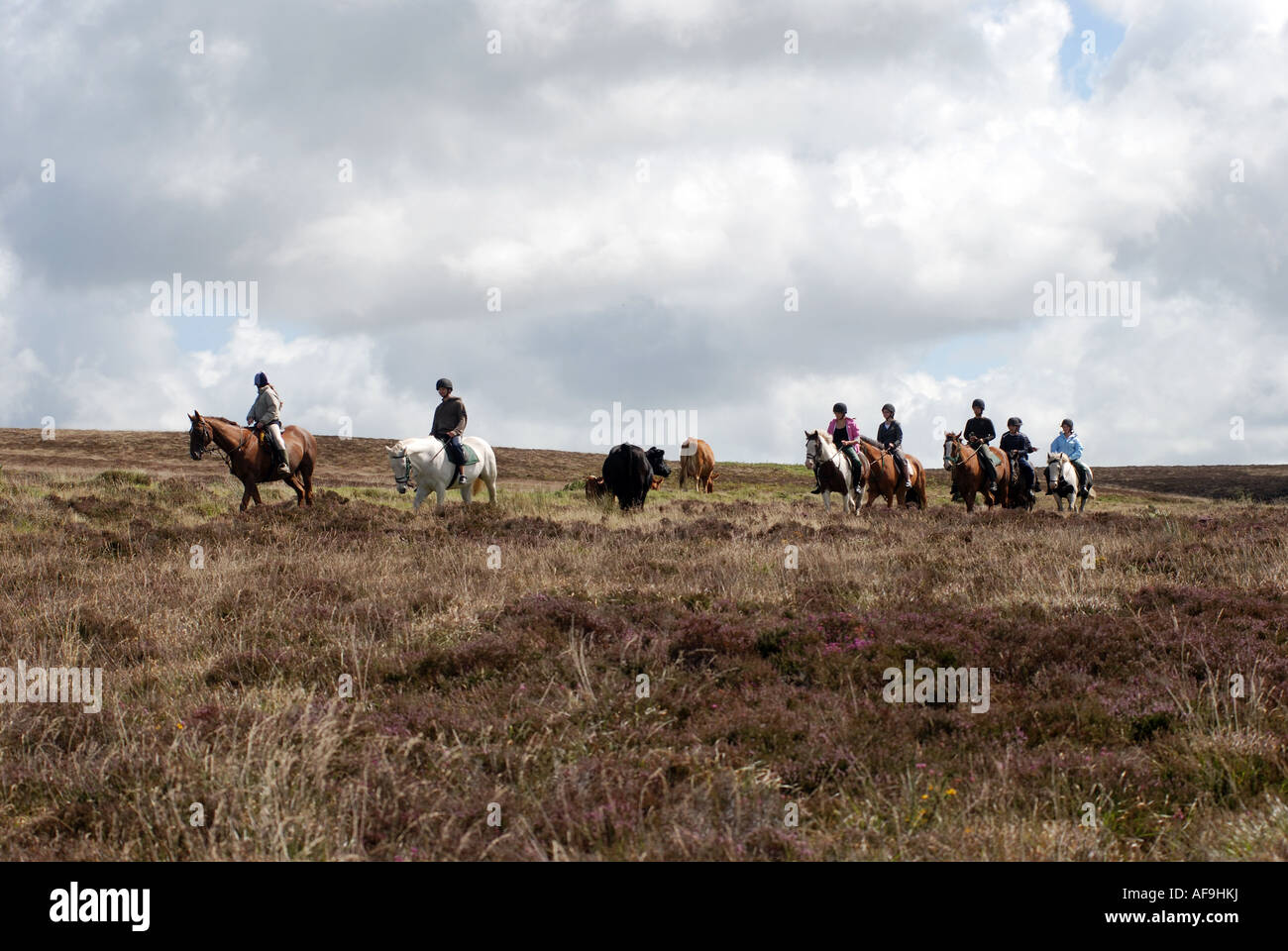 Les randonneurs de poney sur Brendon Common, Exmoor, Devon, England, UK Banque D'Images