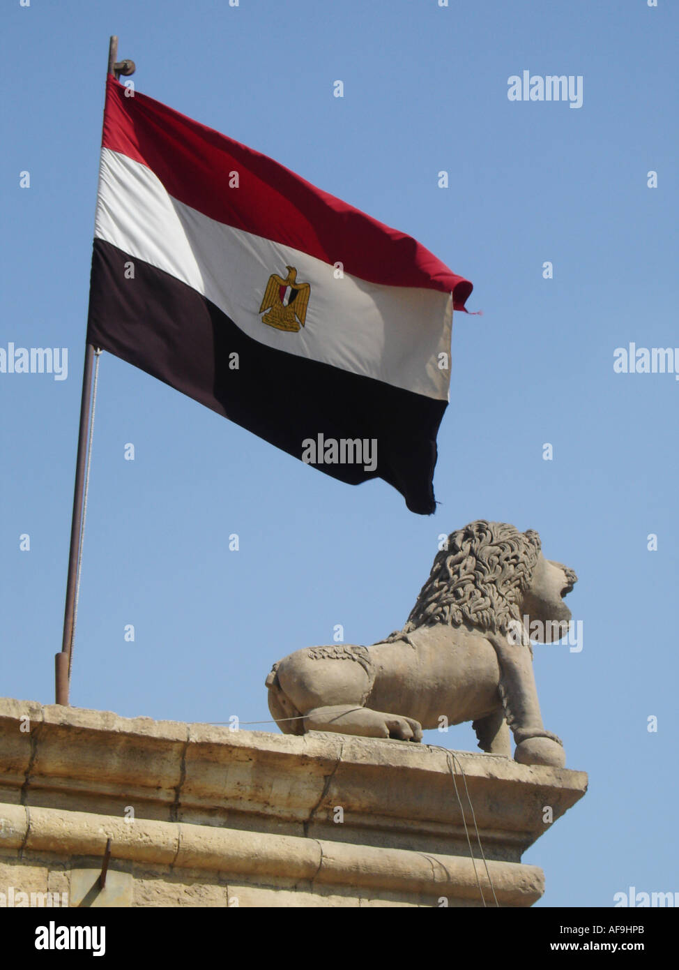 Drapeau égyptien à côté du lion, Le Caire, Égypte, Cairo Banque D'Images