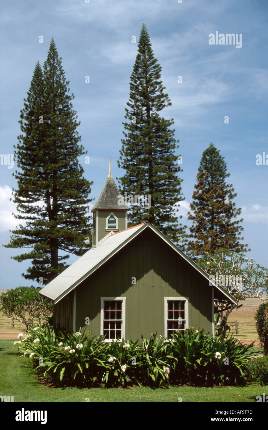 Hawaii,îles hawaïennes,Lanai Kalokahi Oka Malamalama Eglise,religion,croyance,foi,culte,Maison de Dieu,Christian,construit 1930 Iles Cook pins HI050,t Banque D'Images