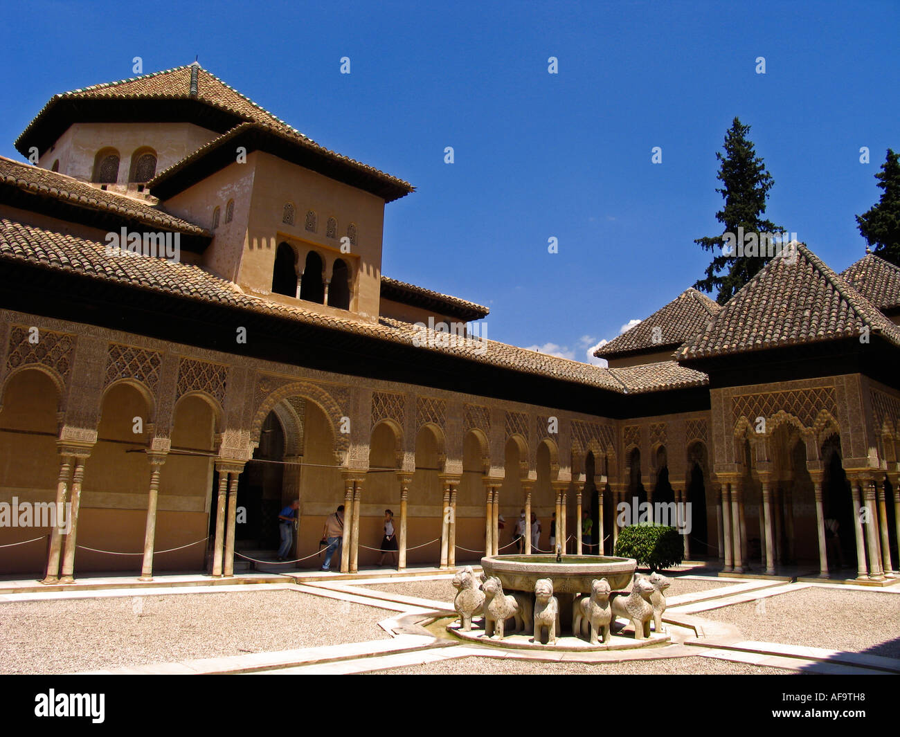 Patio des Lions Patio de los Leones Alhambra Granada, Andalousie Espagne Banque D'Images