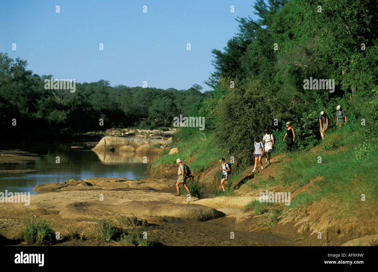 Les touristes sur une piste sauvage guidée dirigée par un garde armé dans le Levuvhu jeu lit de rivière dans le nord du Parc National Kruger. Banque D'Images
