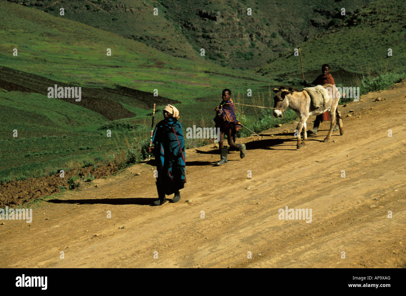 Femme marchant le long de la route de poussière tandis que deux garçons conduire un âne derrière Lesotho Banque D'Images