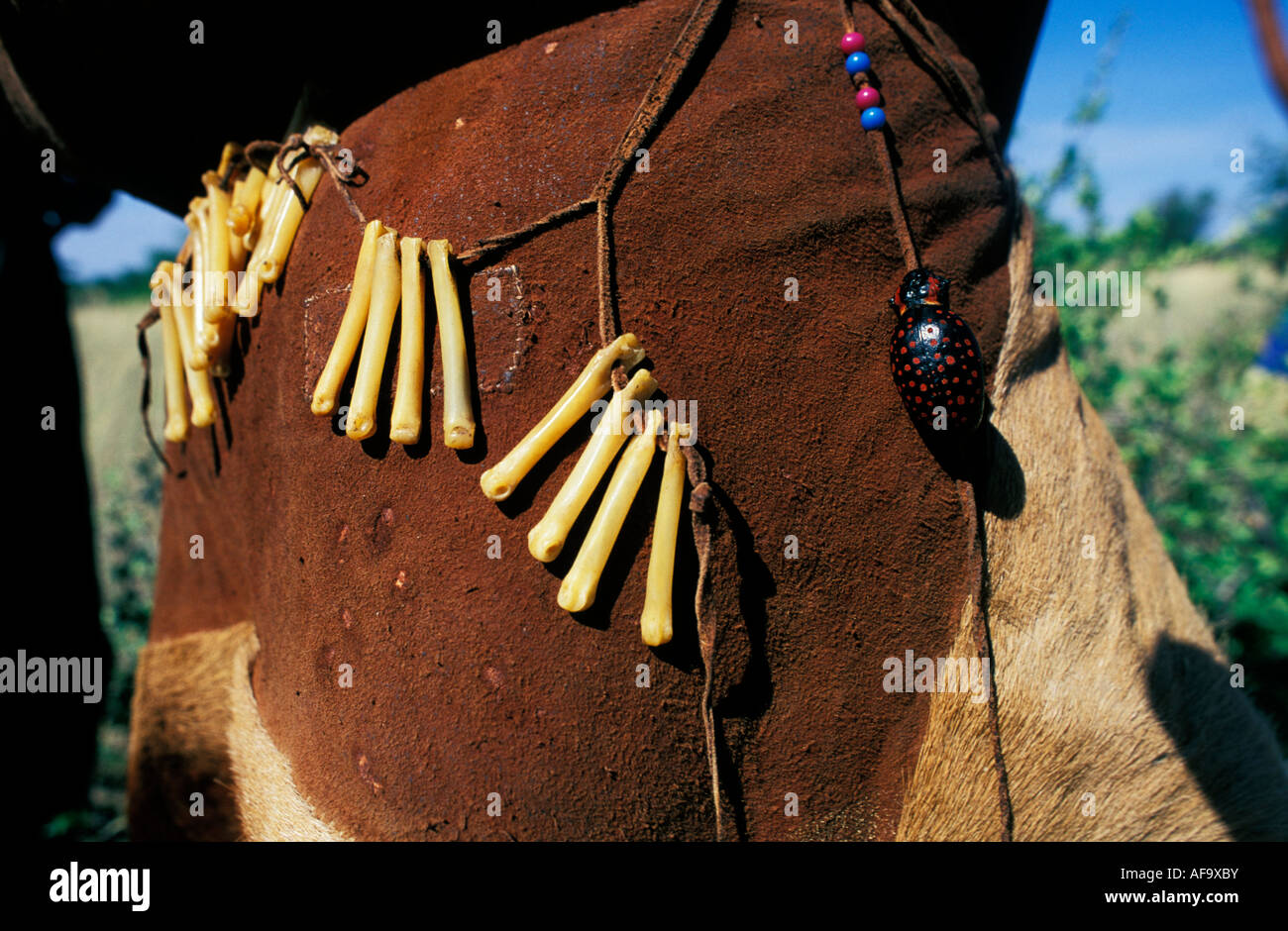 Close-up de parures (os) accrochée à la taille de Kua femme bushman, montrant des animaux teints peau, os et ponderosa Banque D'Images