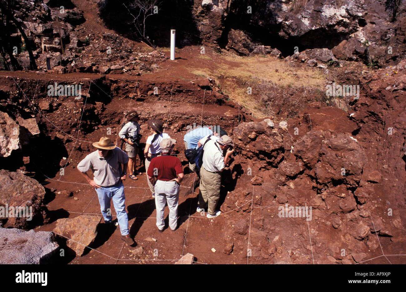 Les touristes visitant la paléontologie site creuser Johannesburg, Gauteng, Afrique du Sud Banque D'Images