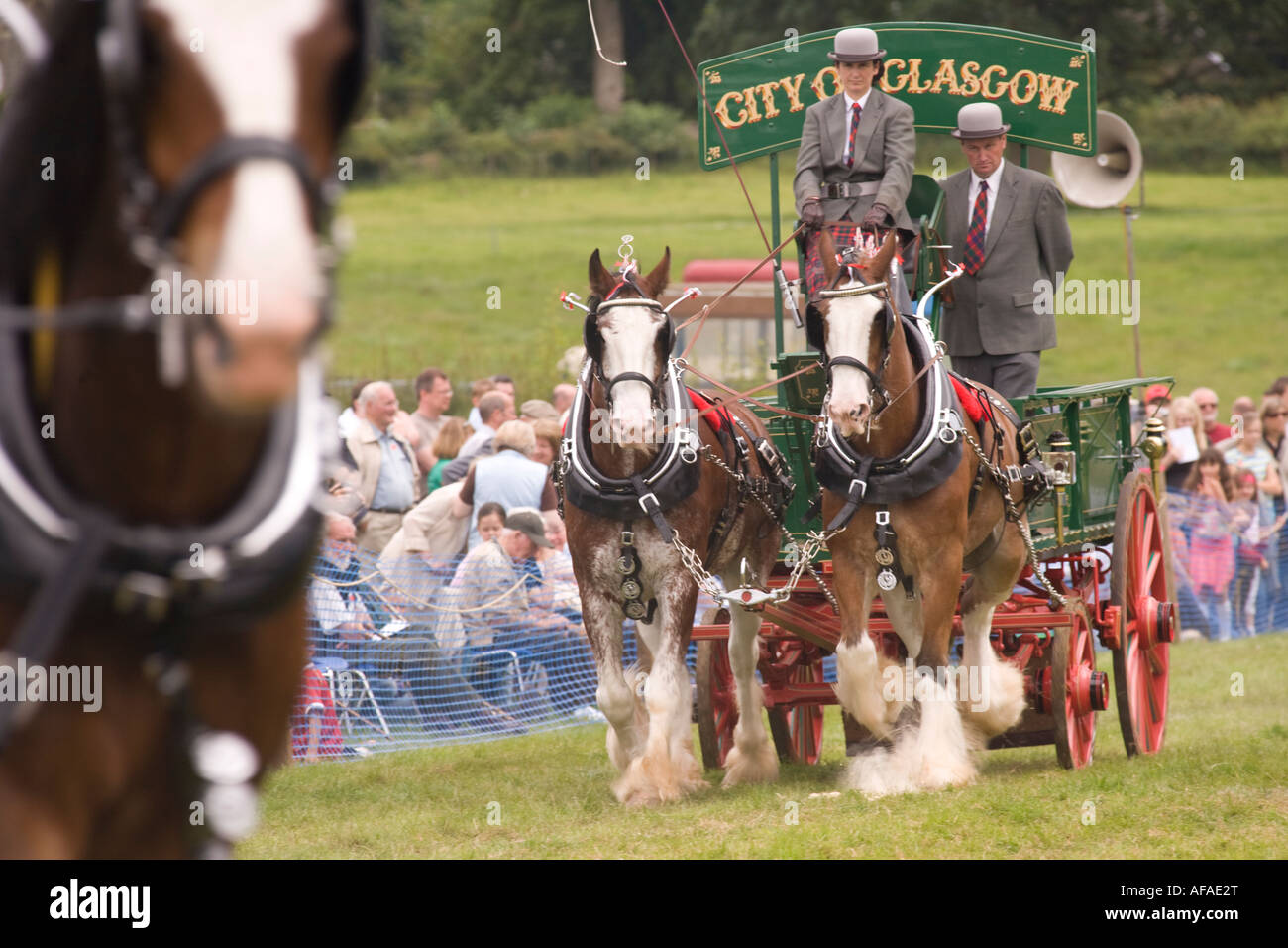 Un spectacle de chevaux lourds chevaux Clydesdale d'affichage tirant les charrettes et horsemanship Kittochside Musée de la vie rurale Banque D'Images