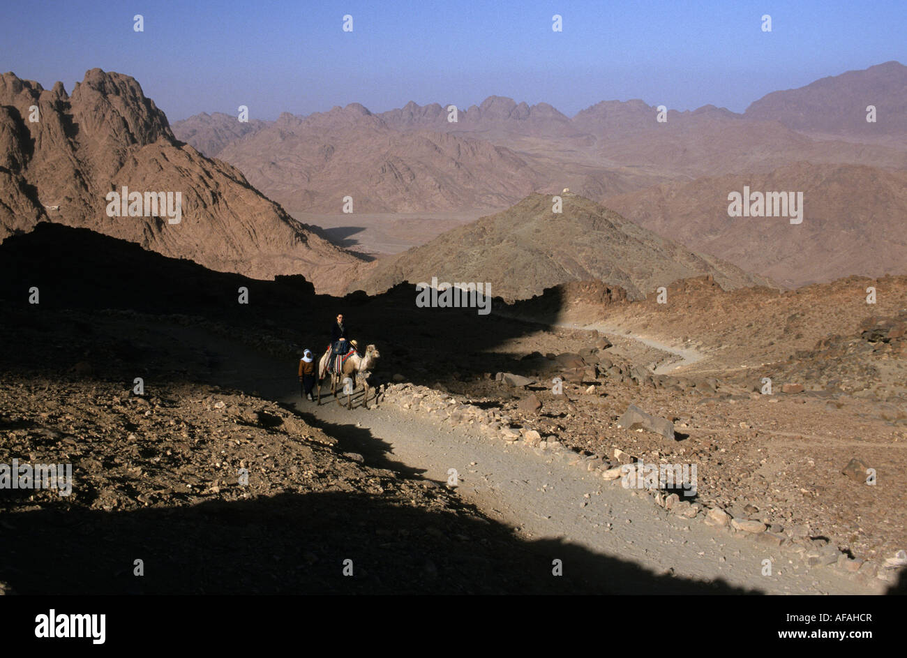 L'Égypte Sint Katherine, désert du Sinaï, l'assis sur la marche de chameau au haut du mont Sinaï Banque D'Images