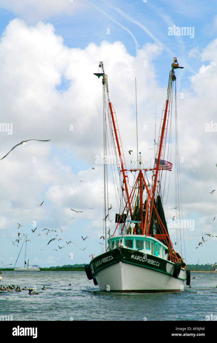 Bateau crevette entourée d'oiseaux Shem Creek Mt Pleasant en Caroline du Sud USA Banque D'Images