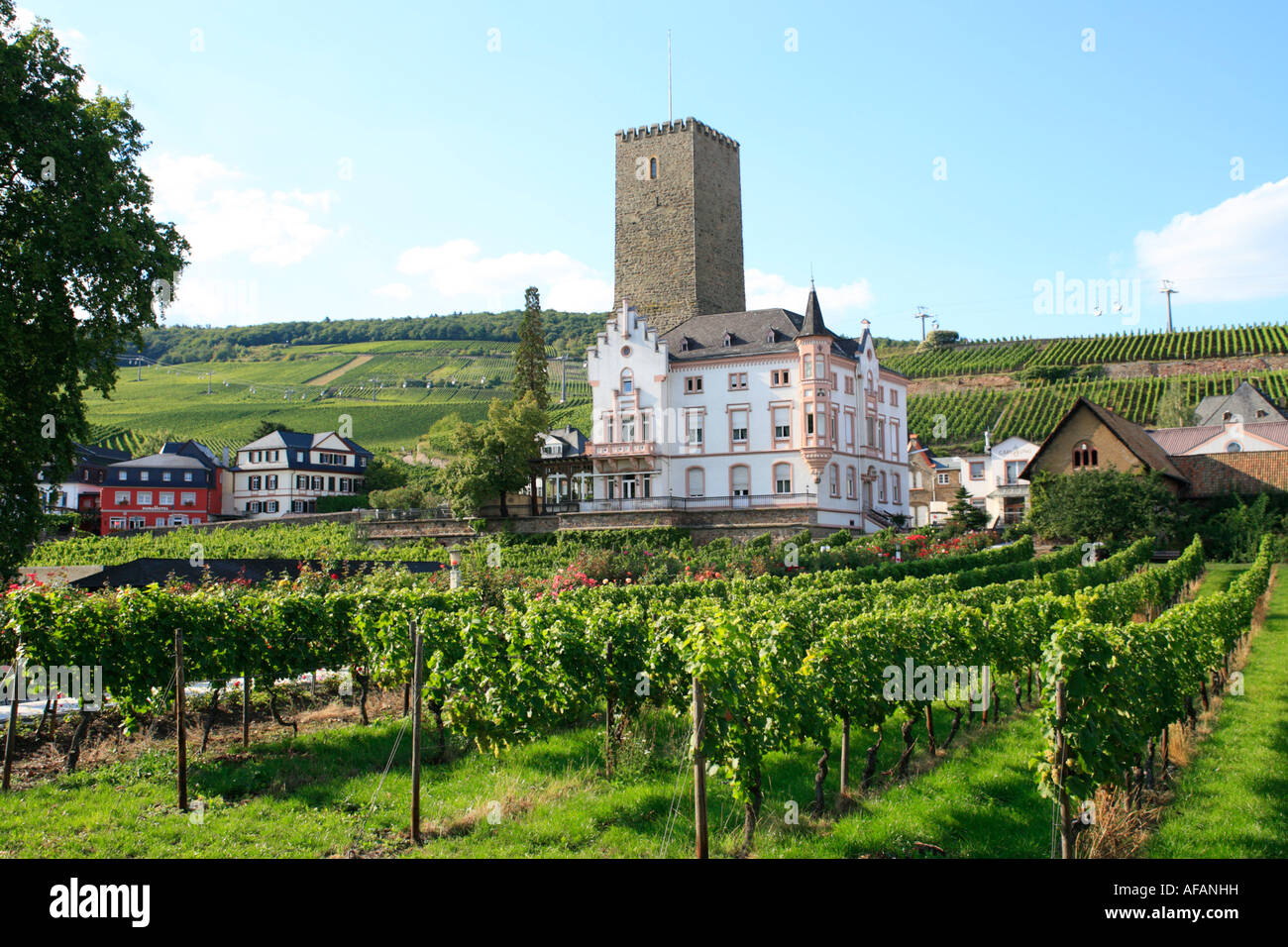 Château à Rudesheim Dietikon dans la vallée du Rhin en Allemagne Banque D'Images