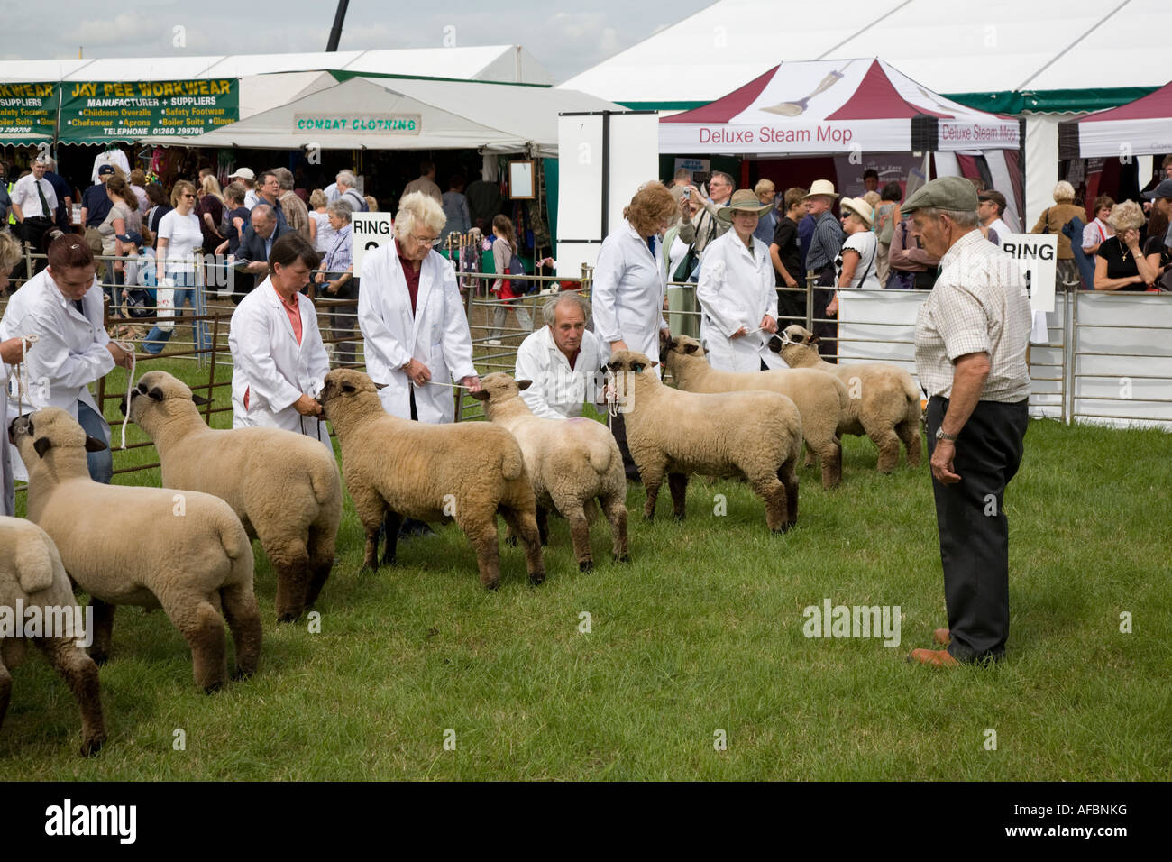 Comparer à la brebis juge Cheshire Show 2007 Banque D'Images