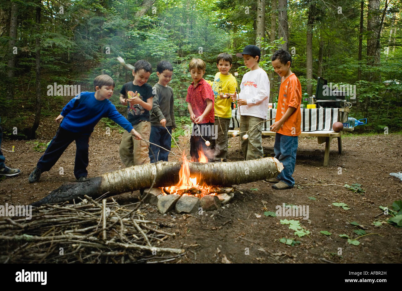 Groupe des petits garçons on camping trip guimauves grillées et d'avoir du plaisir, jouant autour d'un feu de camp avec un grand journal. Banque D'Images