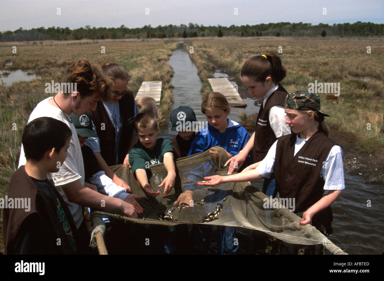 New Jersey,Ocean County,Cattus Island County Park,junior naturalistes,sirage de fossés,NJ016 Banque D'Images