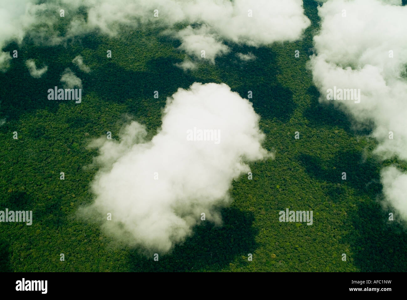 Nuages au-dessus de forêt amazonienne, Loreto, Pérou Banque D'Images