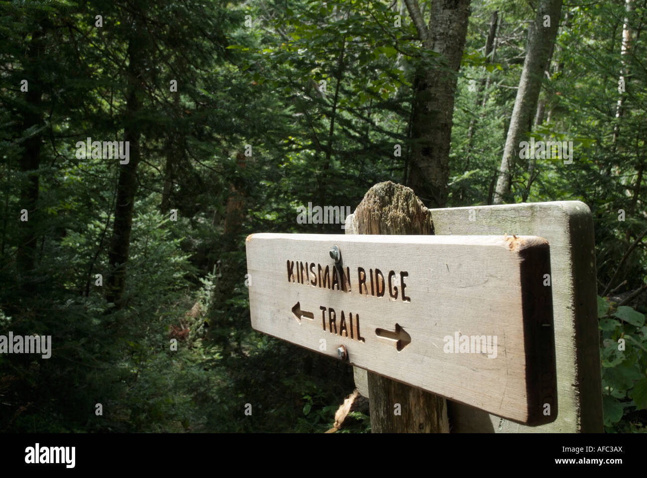 Sentier des Appalaches Kinsman Ridge Trail sign in Montagnes Blanches du New Hampshire USA Banque D'Images