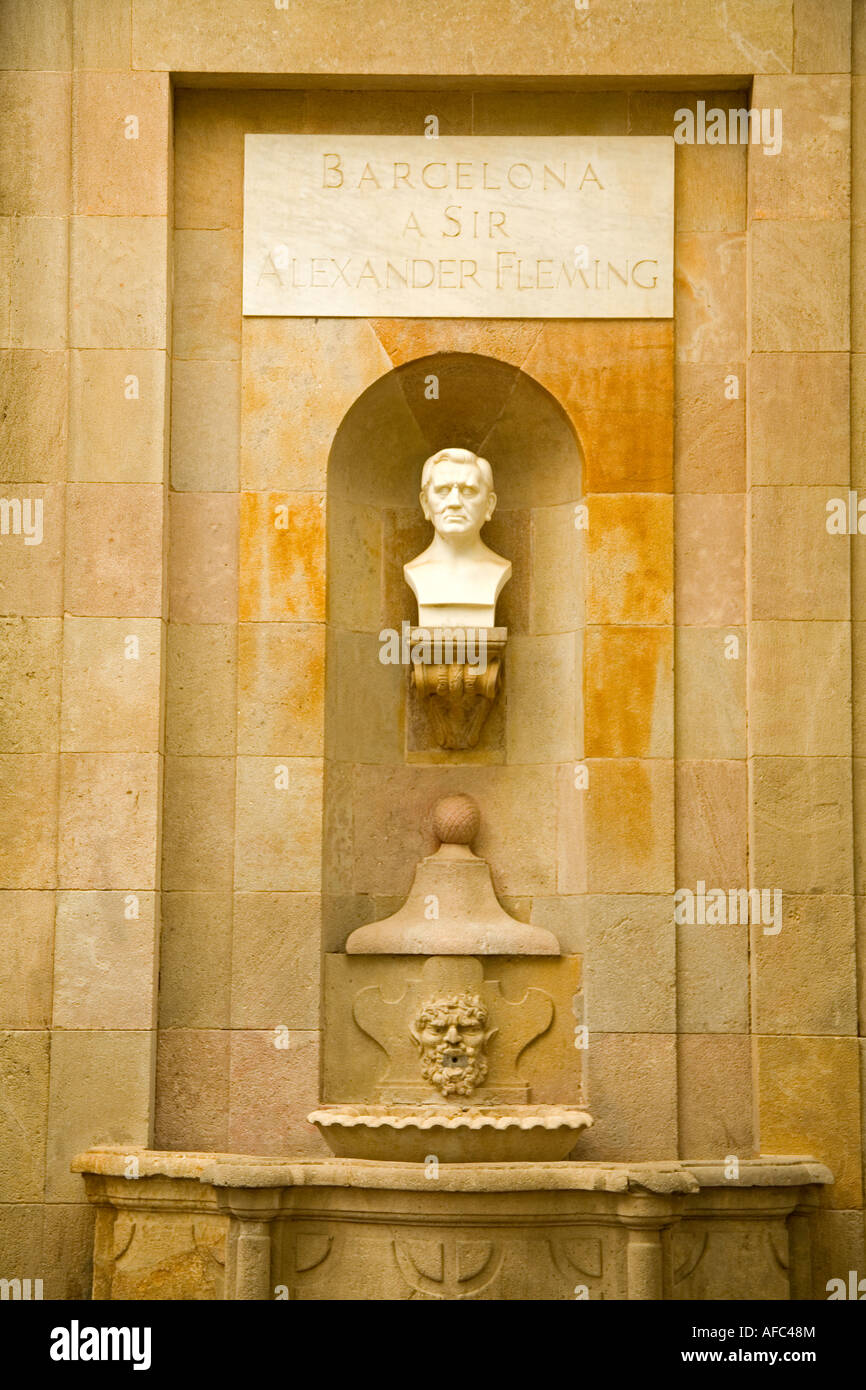 Buste de Sir Alexander Fleming de El Raval de Barcelone Espagne Banque D'Images
